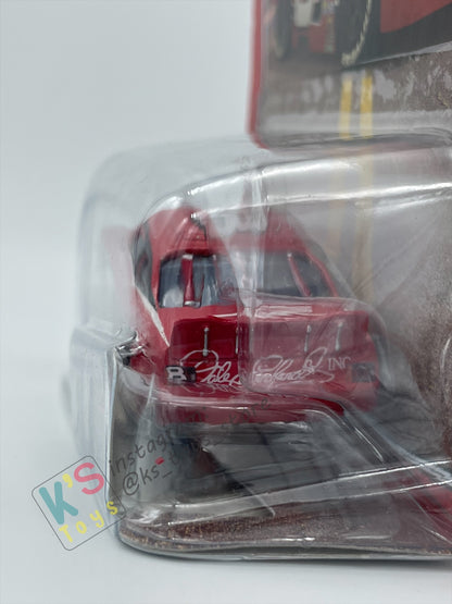 DISNEY PIXAR CARS BY MATTEL, THE WORLD OF CARS SERIES - DALE EARNHARDT JR - BNIP