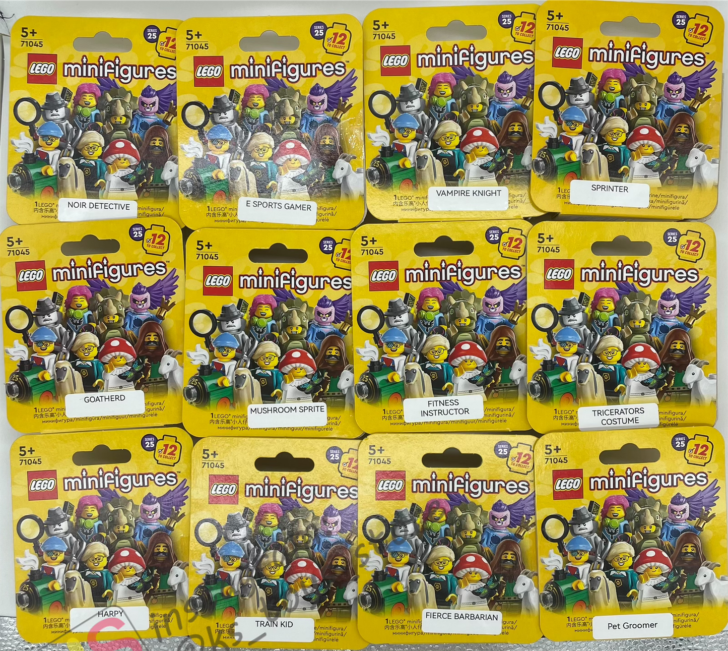 Complete set (12 Figures) - Lego Minifigures - Series 25